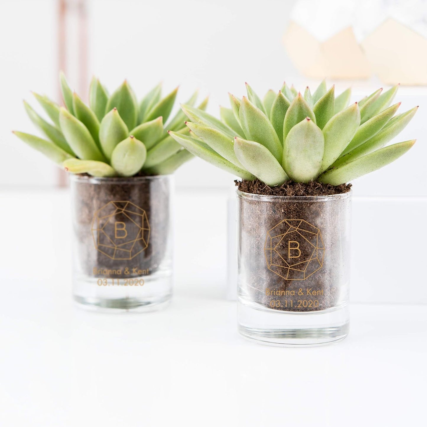 WEDDINGSTAR Personalized 2.75oz Shot Glass Customizable Full Color Print - 156 pack