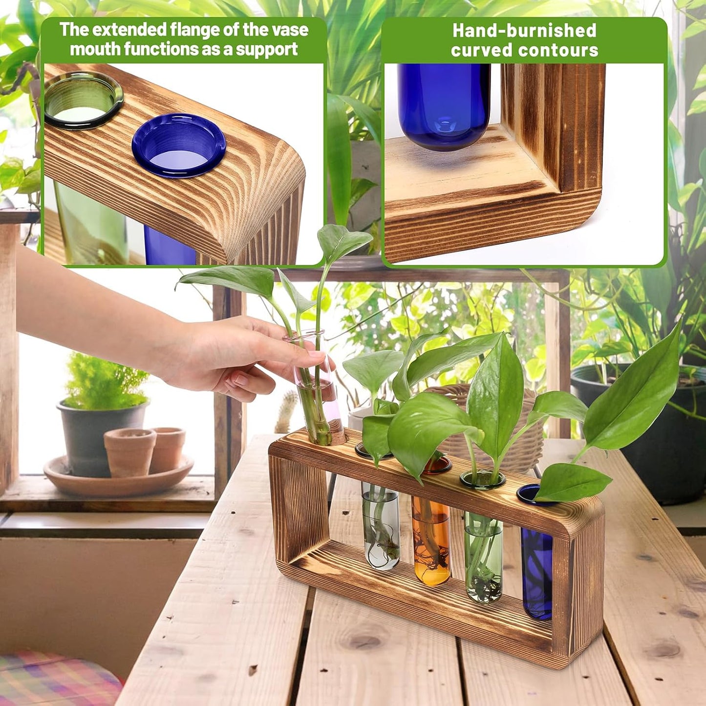 Glass Plant Propagation Station with 5 Test Tubes Colorful Planter Vase Birthday Gifts for Women in Wooden Stand