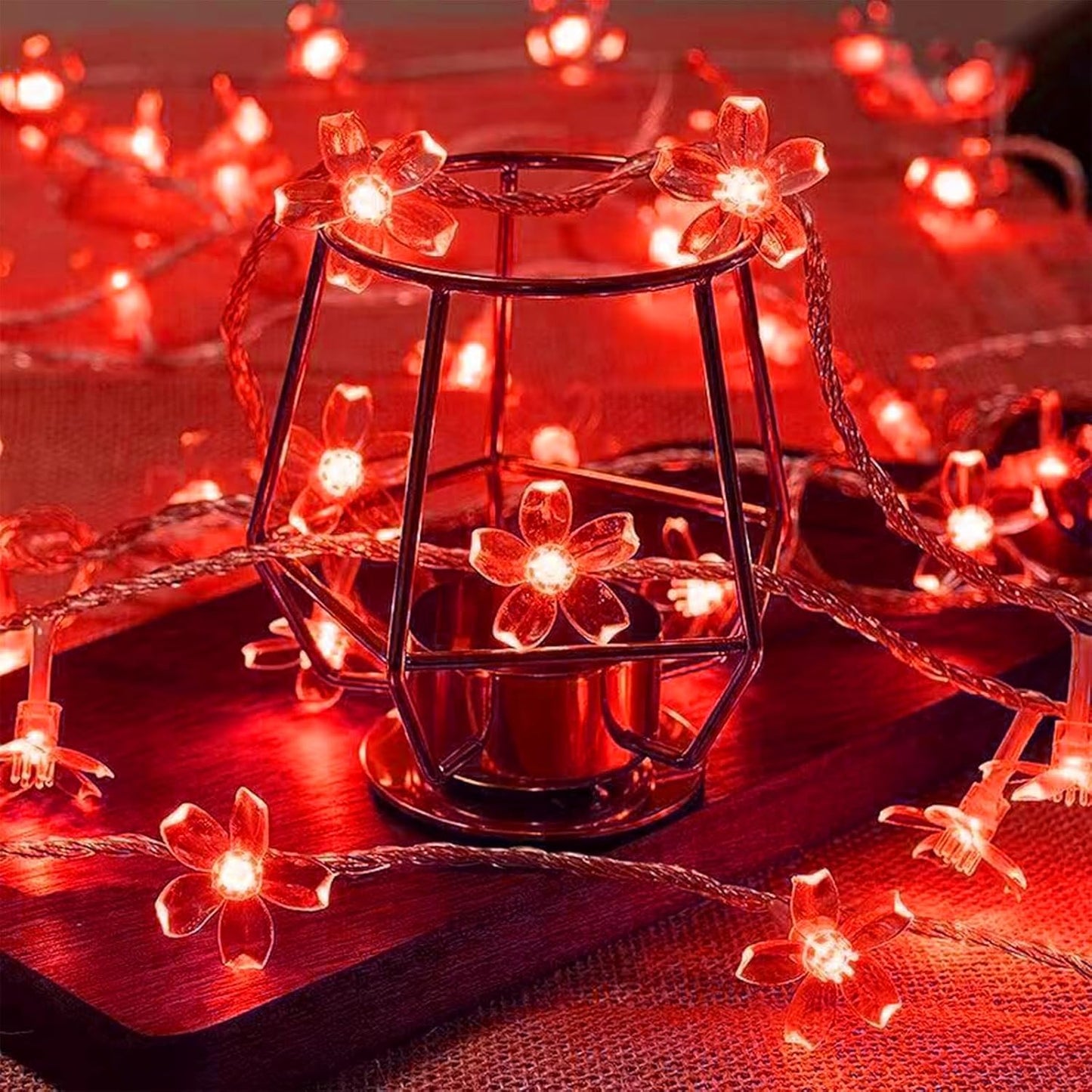 Battery Lighted & USB Plug in Fairy Flower String Lights, 10ft 30 LED Cute Cherry Blossom Lights with Timer Indoor Bedroom Party Wedding Christmas Easter Tree Branch Hanging Decorations (Red)