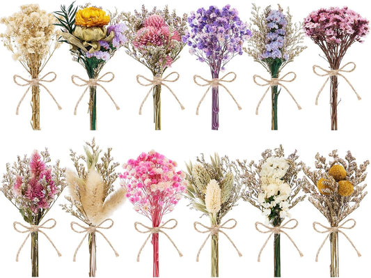 12/24 PCS Charming Dried Flowers Bouquet for Vase Various Dried Wildflowers with Stems Mini Handmade Wildflowers Natural Real Flowers Bulk Flowers Craft (Various Series, 12 PCS)