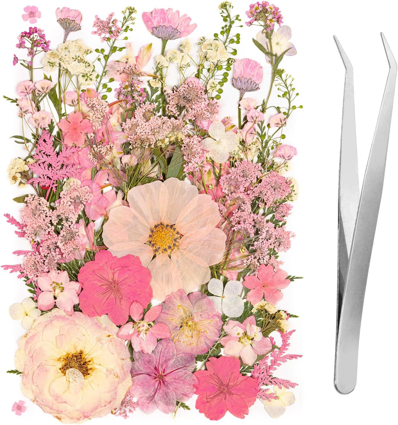 50pcs Pink Pressed Flowers Bulk, Romantic Dried Flower Leaves, Natural Pressed Dried Flowers with Tweezer for DIY Crafts Resin Mold Candles Cake Bridal Scrapbooking Supplies