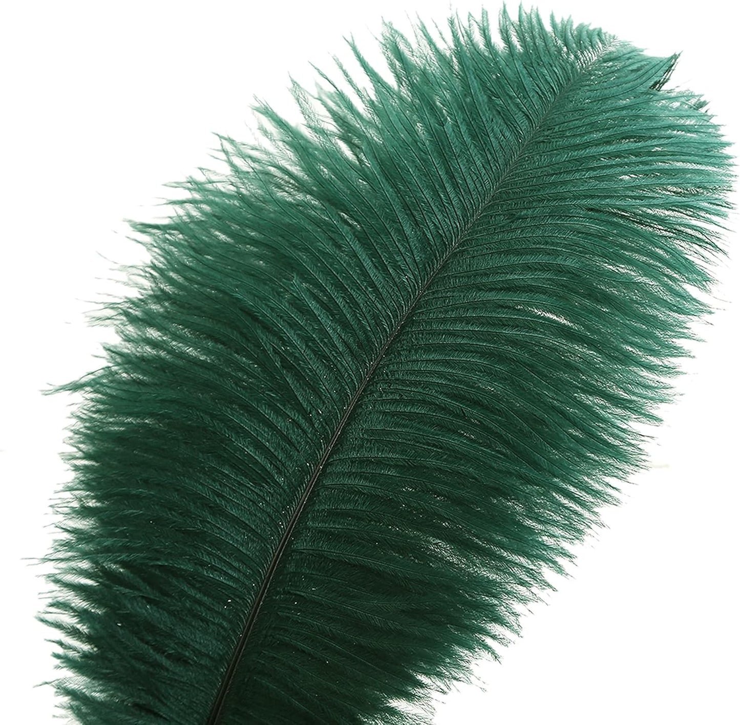Ballinger Blackish Green Ostrich Feathers Bulk- 24pcs 8-10inch for Wedding Party Centerpieces Christmas Decor