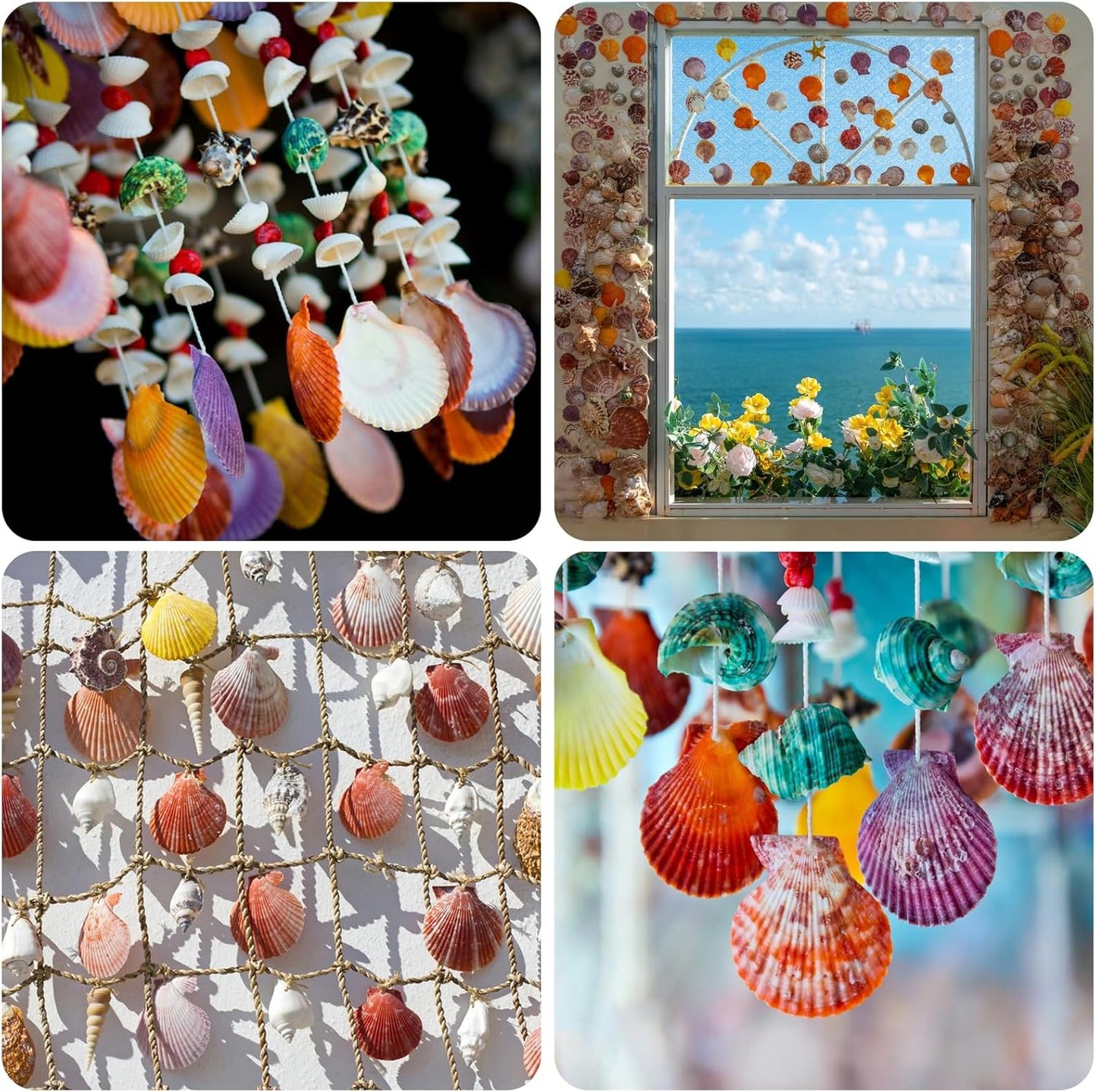 16PCS Sea Shells Scallop Shells Natural White Sea Shells for DIY Craft Crafting,Painting,Baking,Home Decor and Beaching Wedding Decoration (10-12CM) Seashells Bulk