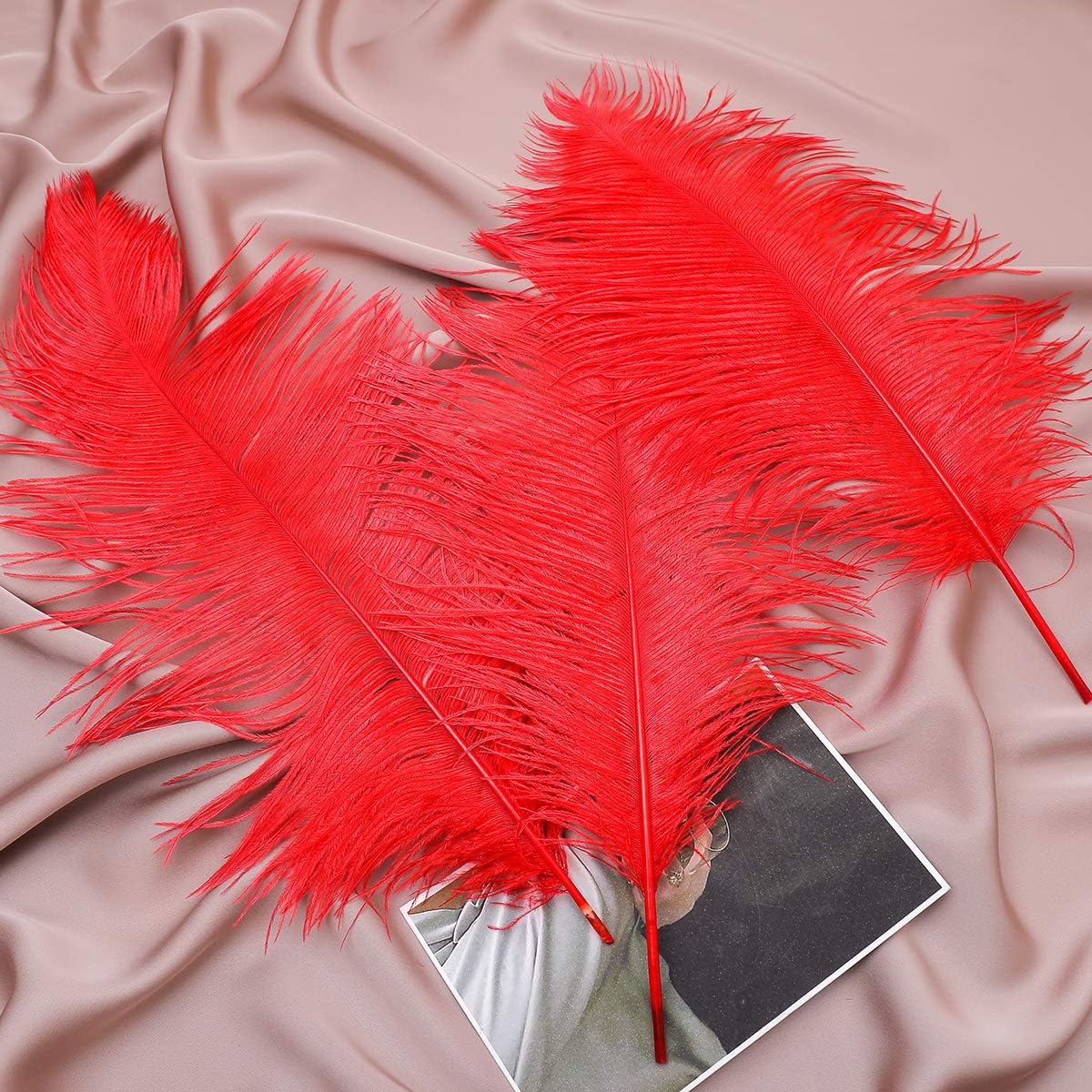 12pcs Natural Bright Red Ostrich Feathers 12-14inch (30-35cm) for Wedding Party Centerpieces，Flower Arrangement and Home Decoration.