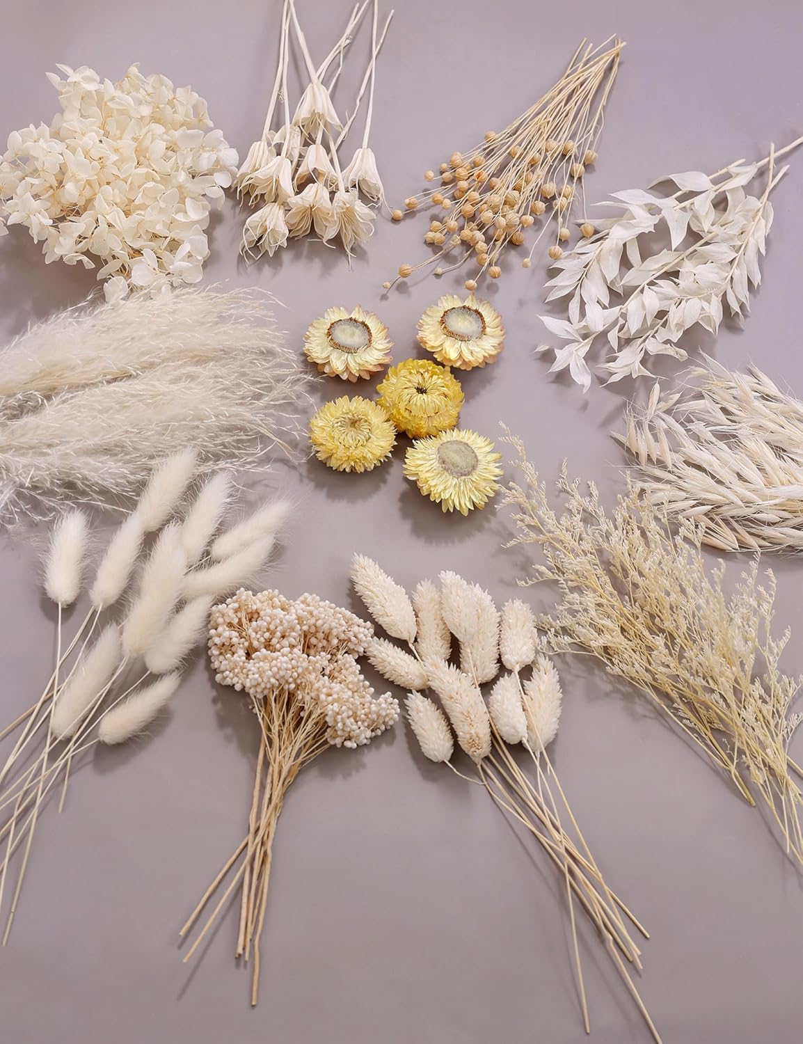 DIY Natural Dried Flower Kit Loose Dried Flowers for vases Off-White Dried Flowers with Stems Preserved Hydrangeas Mini Dried Flower Bouquets (White)