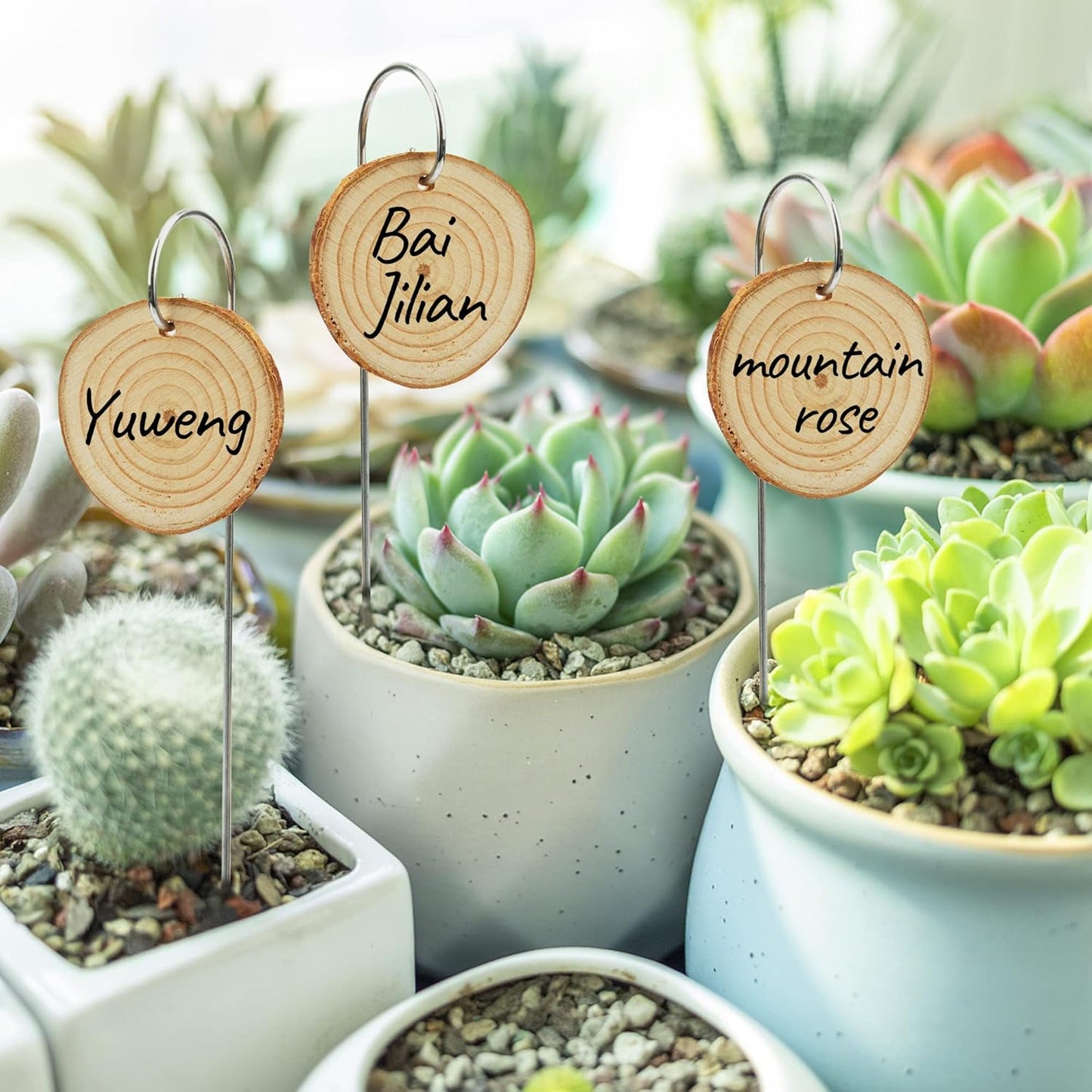 Temlum Wooden Plant Labels with Marker Pen, 25 Pcs Garden Markers Garden Label Stakes Plant Sign Tags for Flowers, Herbs, Potted Plants, Seed