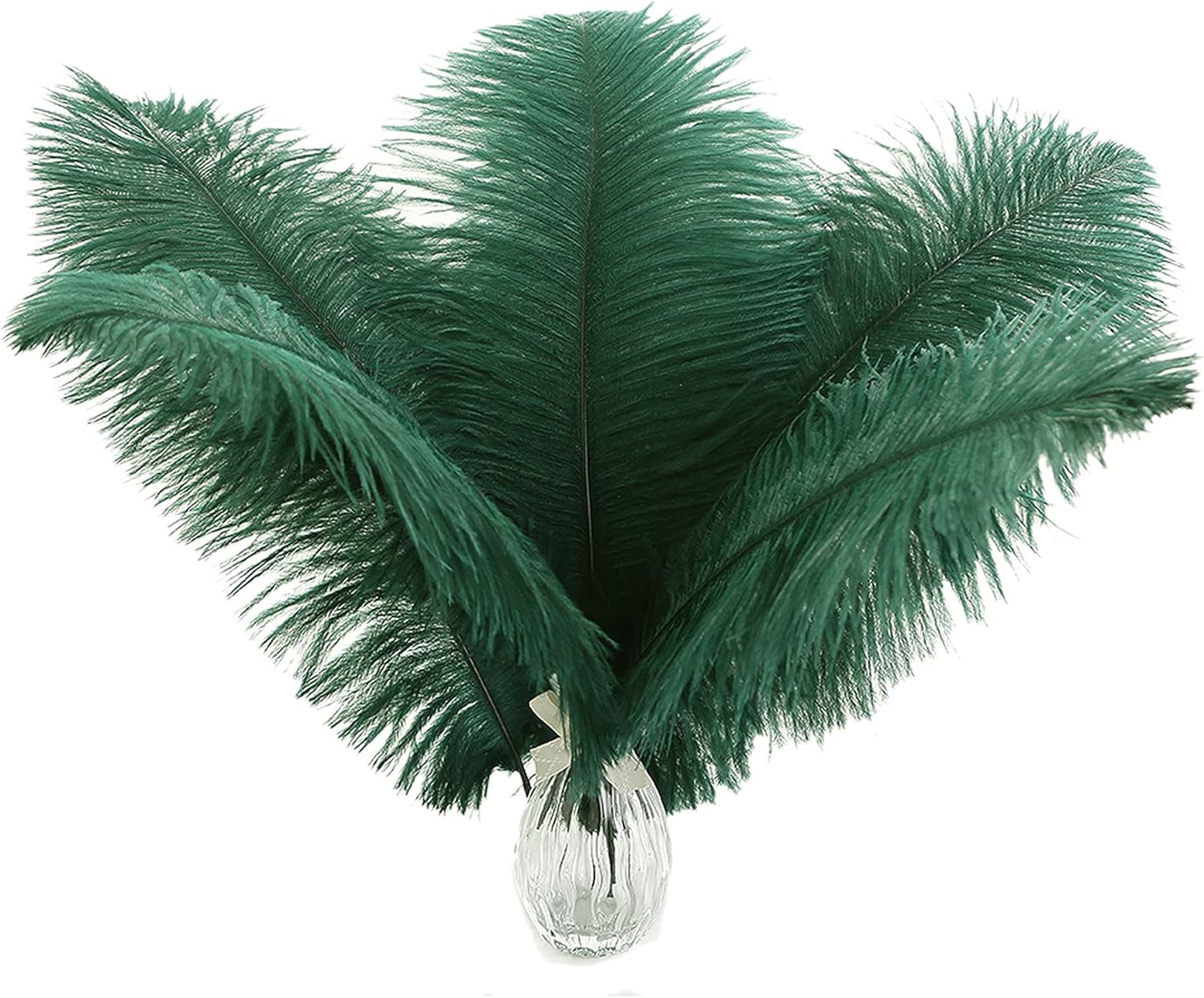 Ballinger Green Long Ostrich Feathers - 12Pcs 14-16inch Large Feathers for Tall Vase,Wedding Party Centerpieces and Holiday Home Decor