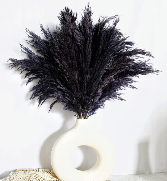 Black Pampas Grass for Home Decor - Elegant Boho Decor - Premium Quality Pampas Grass Stems - Perfect for House, Nursery, Western, Wedding, Table, and Bohemian Decor (20PCS)