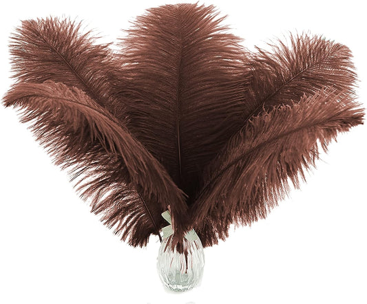 Ballinger Brown Big Ostrich Feathers - 24pcs 8-10inch Craft Feathers for Party Centerpieces, Flower Arrangement and Home Decor