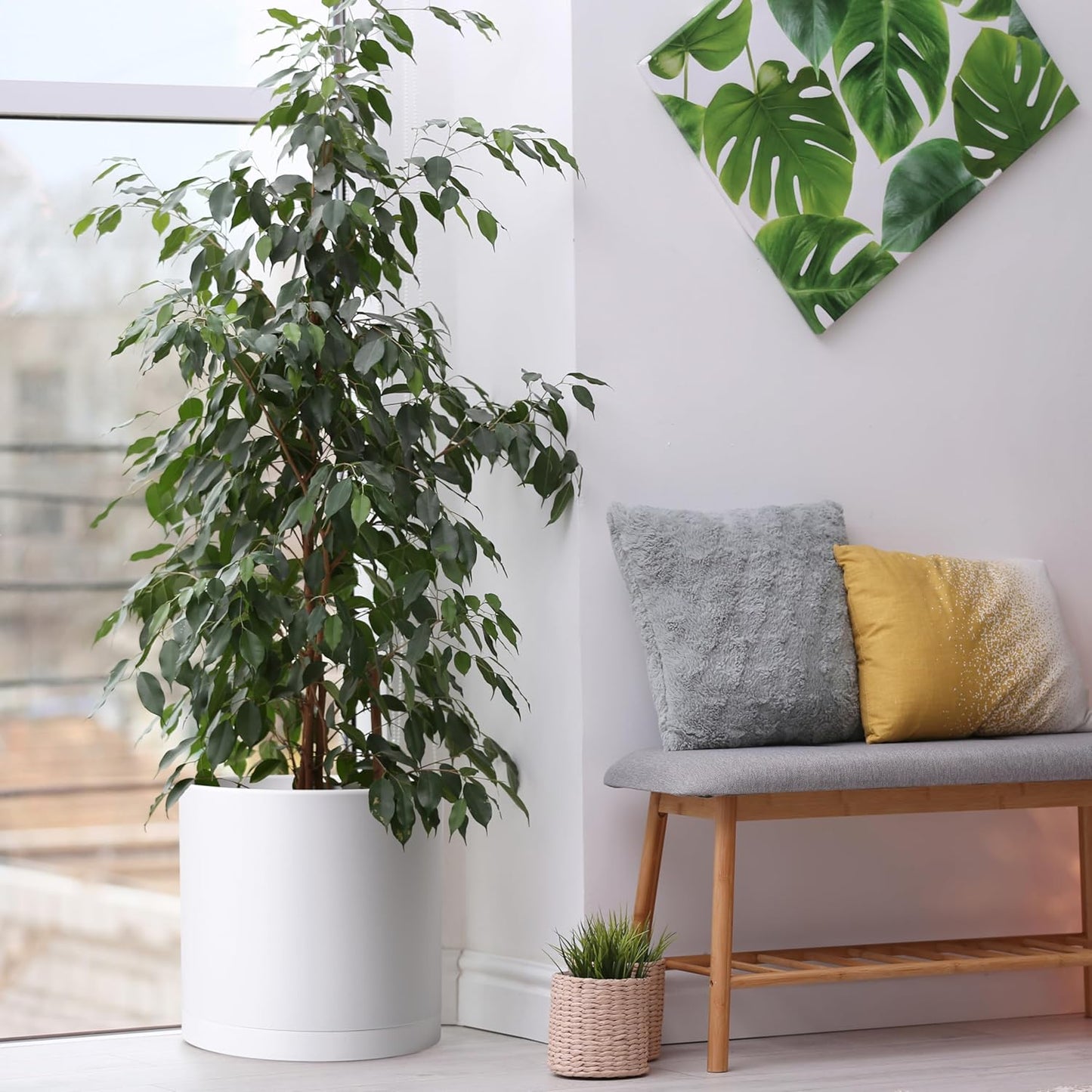 D'vine Dev 2 Pack 14 Inch Modern Plastic Plant Pots, Cylindrical Garden Planters for Plants with Drainage Holes and Saucers, White, 74-Z-Q-1