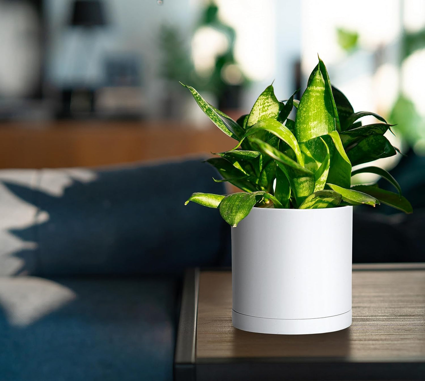 D'vine Dev 2 Pack 5.5 Inch Modern Plastic Plant Pots, Small Garden Planters for Plant with Drainage Holes and Saucers, White Color, 74-Z-H-1