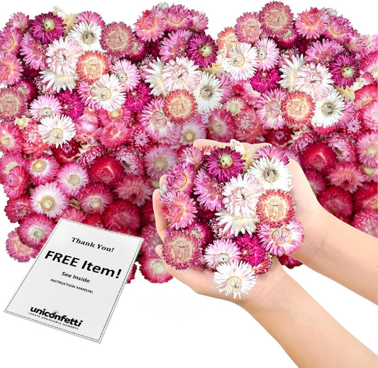 Dried Flower Pink Straw Daisy Biodegradable Confetti - Real Flower Petals for Weddings, Flower Girl Toss, Wedding Send Off Ideas, Party Table Decoration | Boxed - 8oz (0.5lbs)