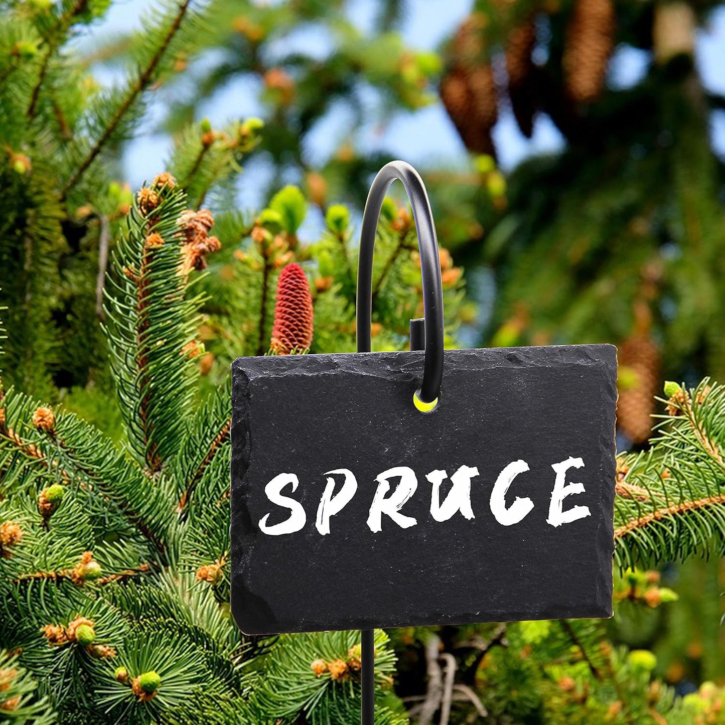 FORUP Plant Labels, 10pcs Garden Markers Signs Labels, Weatherproof Reusable Natural Slate Hanging Tags on Stainless Steel Metal Rod for Flower Bed, Pots, Planters