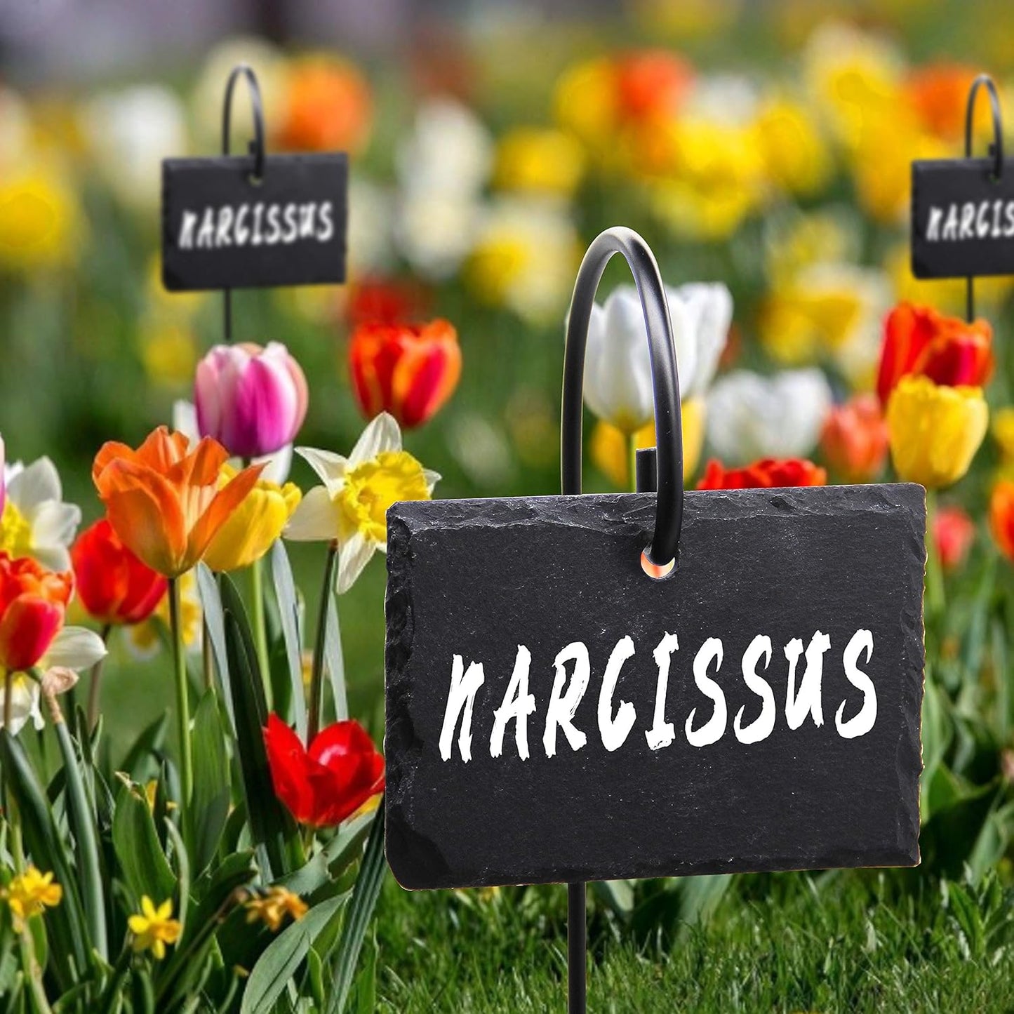 FORUP Plant Labels, 10pcs Garden Markers Signs Labels, Weatherproof Reusable Natural Slate Hanging Tags on Stainless Steel Metal Rod for Flower Bed, Pots, Planters