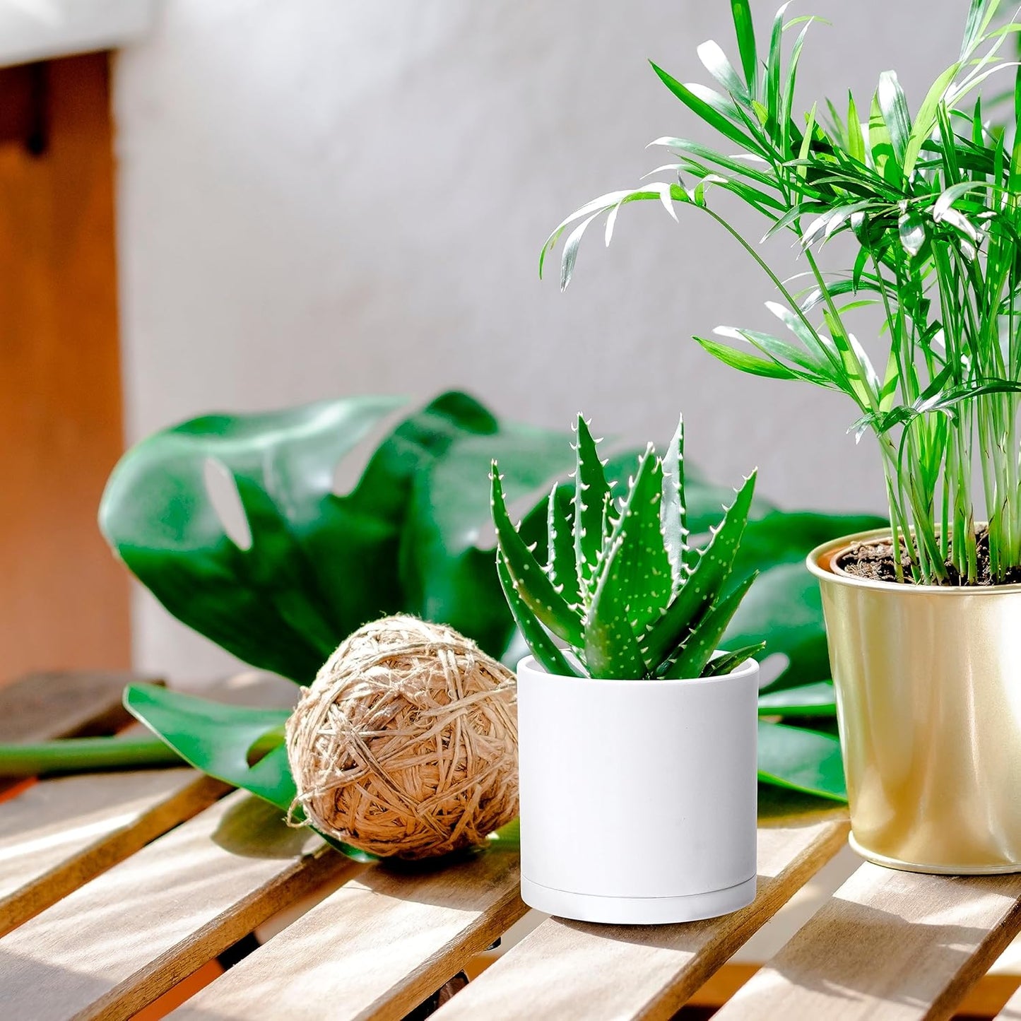 D'vine Dev 6 Pack 4.5 Inch Modern Plastic Plant Pots, Small Garden Planters for Plant with Drainage Holes and Saucers, White Color, 74-Z-F-3