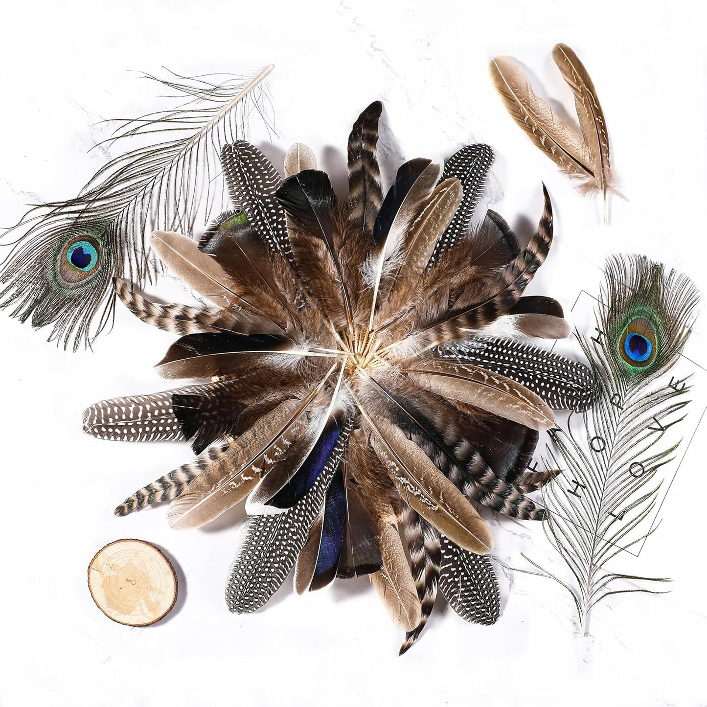 Holmgren 24pcs Natural Feathers Bulk - 6 Styles Assorted Peacock, Pheasant, Turkey Feathers for Craft DIY Jewelry Hat Wedding Home Party Decoration